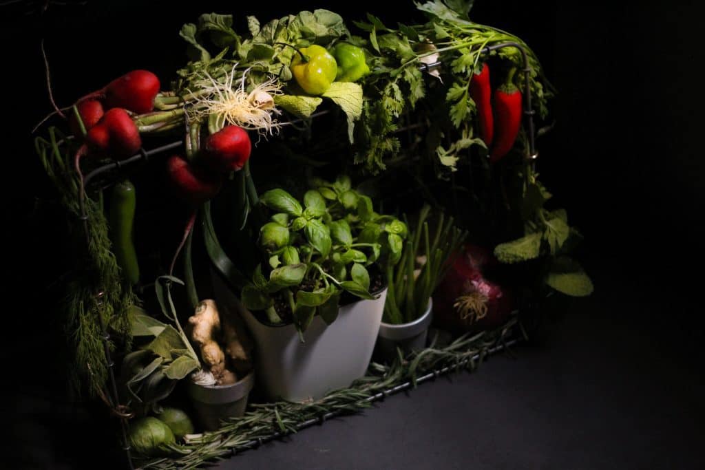 Heavenly Spiced dark and moody display of herbs hanging from wire basket
