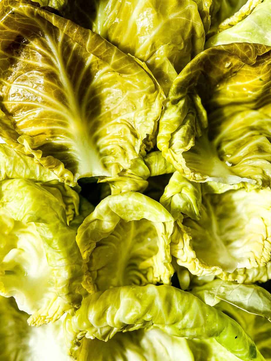 cabbage leaves piled on top of each other after being cooled