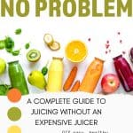 No Juicer? No Problem book pinterest pin.