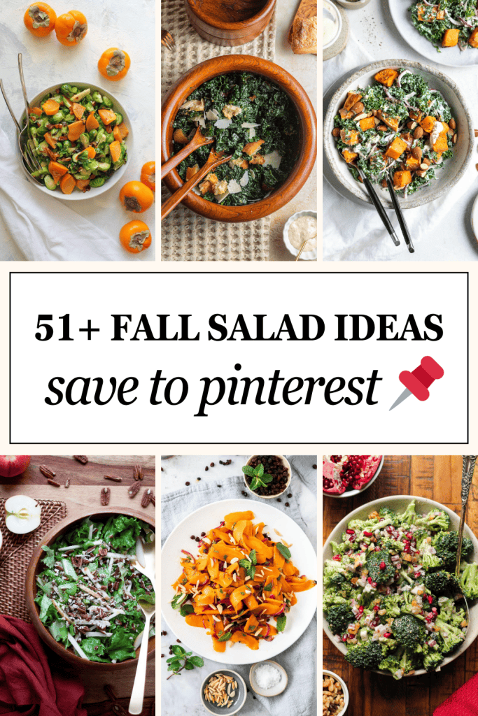 51+ fall salad recipes - save to pinterest: carrot, broccoli pomegranate, etc.