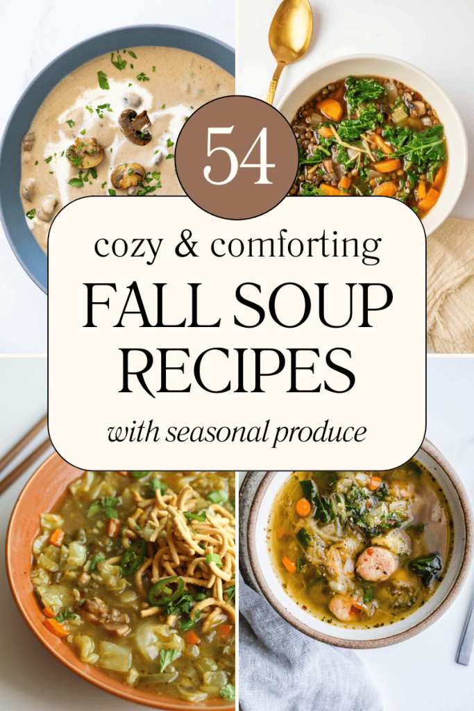 Cozy & comforting fall soup ideas with seasonal produce.