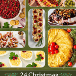 24 Christmas make ahead appetizers - a collection of appetizers from deviled eggs, phyllo cups, cranberry salsa, and more.